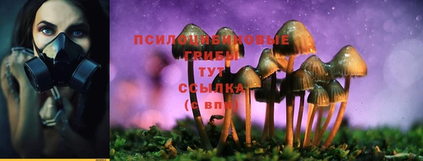 прущая мука Белоозёрский