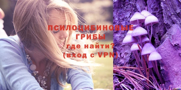не бодяженный Белокуриха